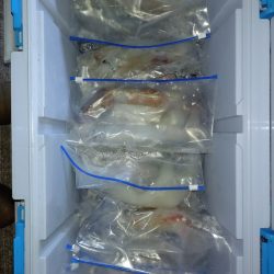 第二龍勢丸 釣果