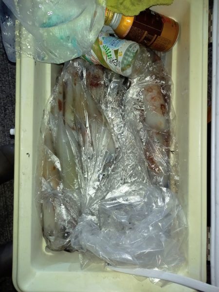 第二龍勢丸 釣果