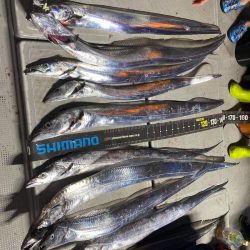 「LaGooN」蒼陽丸 日和号 釣果