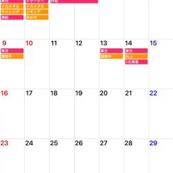 「LaGooN」蒼陽丸 日和号　 釣果