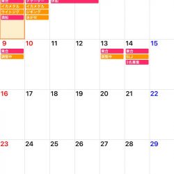 「LaGooN」蒼陽丸 日和号　 釣果