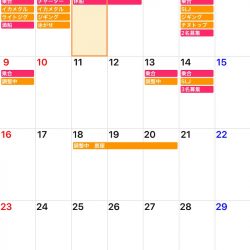 「LaGooN」蒼陽丸 日和号 釣果