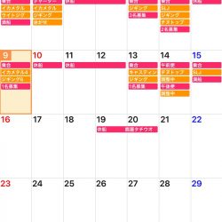 「LaGooN」蒼陽丸 日和号 釣果