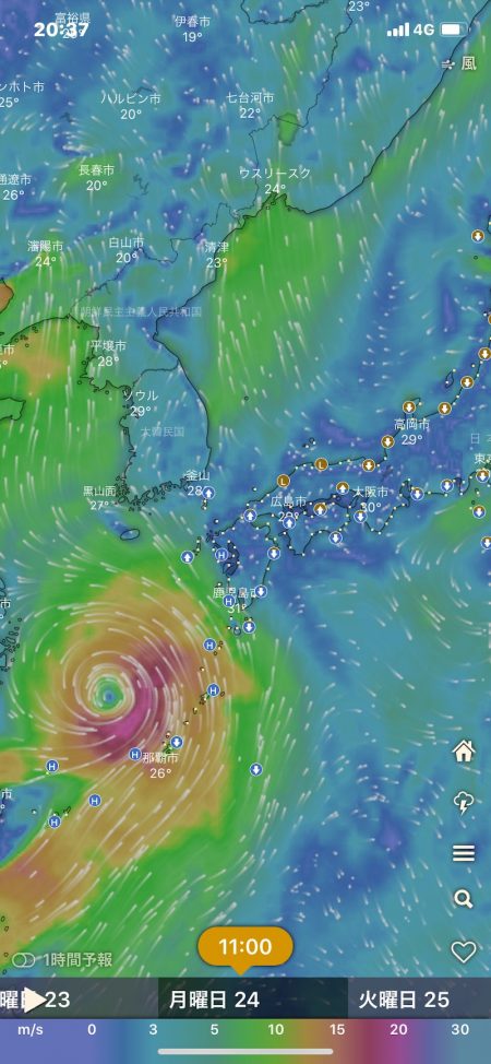 龍神丸(鹿児島) 釣果