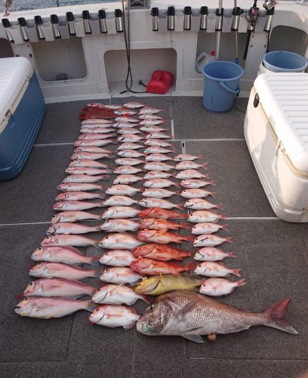 ARCADIAⅡ （アルカディアⅡ） 釣果