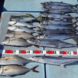 清和丸 釣果