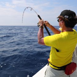 クルーズ 釣果