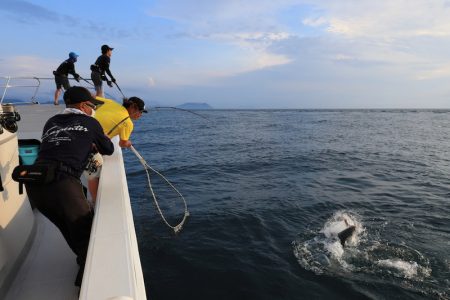 クルーズ 釣果