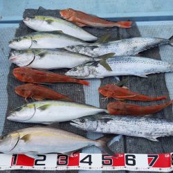 清和丸 釣果