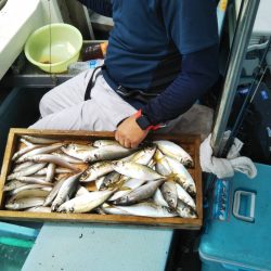 岡田釣船 八英丸 釣果