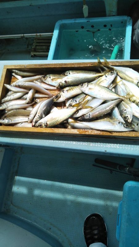 岡田釣船 八英丸 釣果