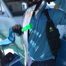 ヤザワ渡船 釣果