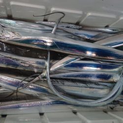 シースナイパー海龍 釣果