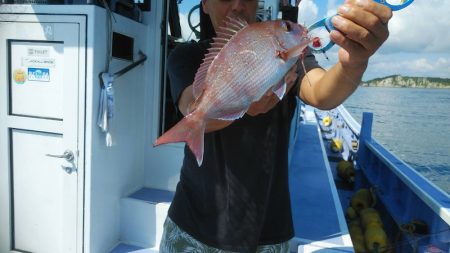 新幸丸 釣果