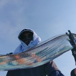 シースナイパー海龍 釣果