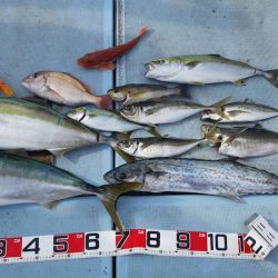 清和丸 釣果