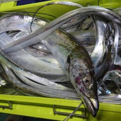 シースナイパー海龍 釣果