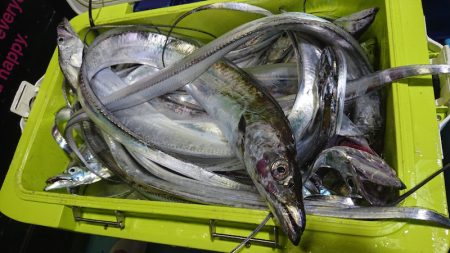 シースナイパー海龍 釣果