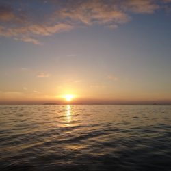 遊漁船　家入 釣果