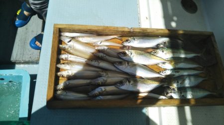 岡田釣船 八英丸 釣果