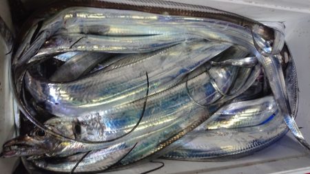 シースナイパー海龍 釣果