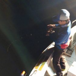 アマテラス 釣果