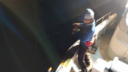 アマテラス 釣果