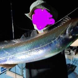 シースナイパー海龍 釣果