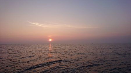 アマテラス 釣果