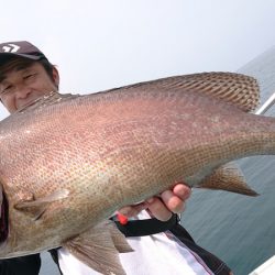 シースナイパー海龍 釣果