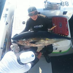 ブルドック 釣果