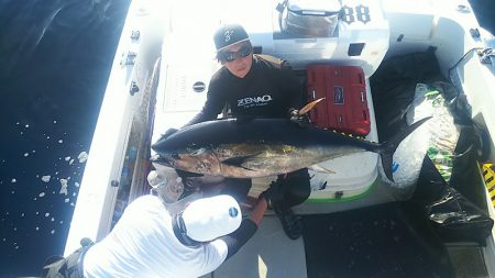 ブルドック 釣果