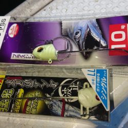 シースナイパー海龍 釣果