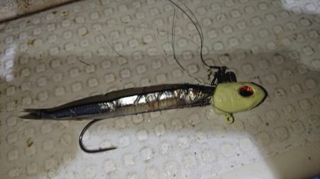 シースナイパー海龍 釣果