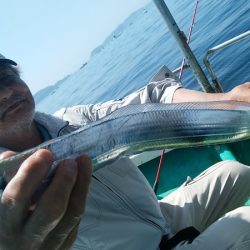 小島丸 釣果