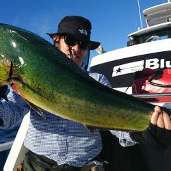 第三共栄丸 釣果