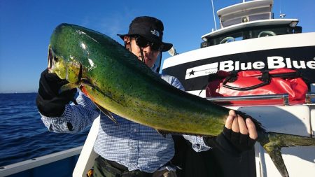 第三共栄丸 釣果