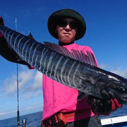 第三共栄丸 釣果