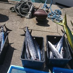 第三共栄丸 釣果