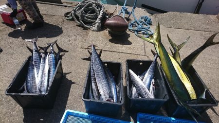 第三共栄丸 釣果