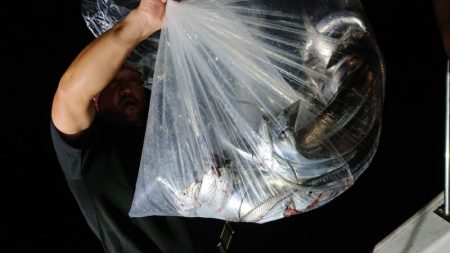 シースナイパー海龍 釣果