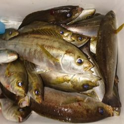 海皇丸 釣果