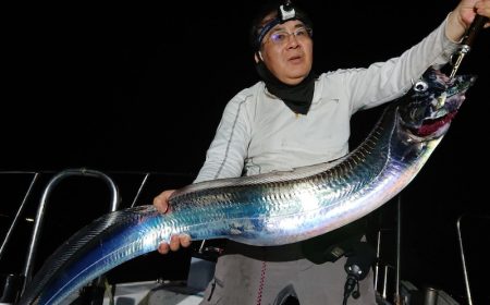 シースナイパー海龍 釣果