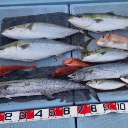 清和丸 釣果
