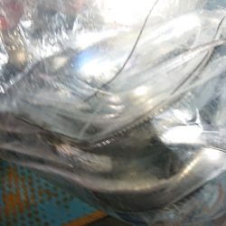 シースナイパー海龍 釣果