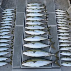 SeaRide(シーライド) 釣果