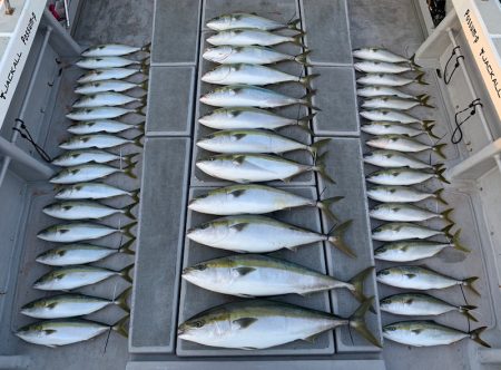 SeaRide(シーライド) 釣果