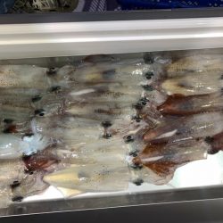 海龍丸（石川） 釣果