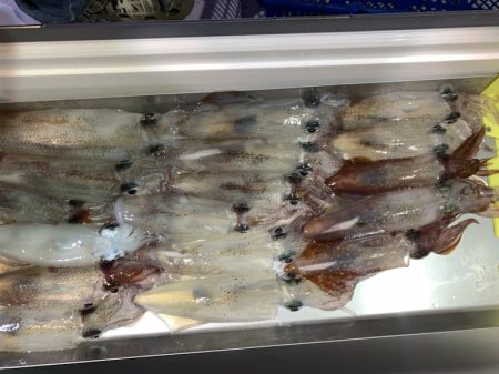 海龍丸（石川） 釣果