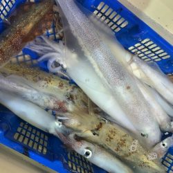 海龍丸（石川） 釣果